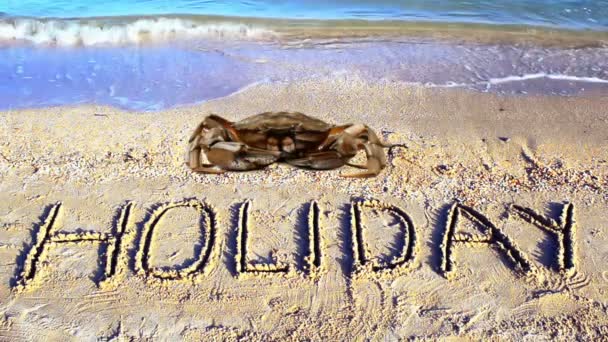 カニと砂の上に碑文は ビーチ 砂の上の単語の休日 — ストック動画