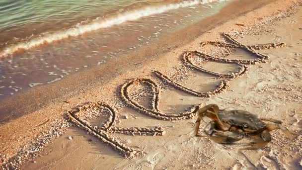 Caranguejo Uma Inscrição Areia Praia Inscrição Relaxar Areia — Vídeo de Stock