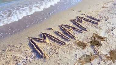 Yengeç ve kumsalda bir yazı. Miami 'nin kuma kazınmış hali. Florida, ABD.