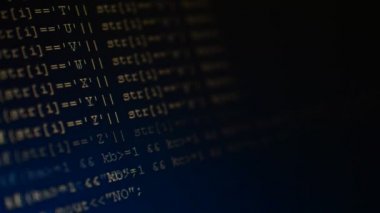 Ekrandaki kaynak kodu. Bilgisayar programının metni çekiliyor.