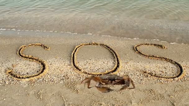 螃蟹和沙滩上的题词 沙上的Sos题词 — 图库视频影像