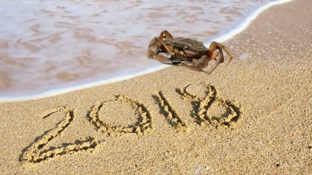 螃蟹和沙滩上的题词 2018年沙地征兵 — 图库视频影像
