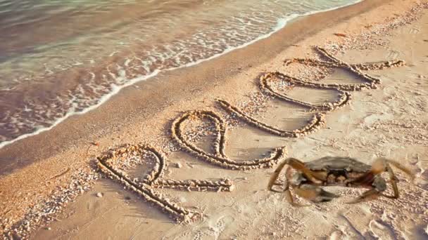 Caranguejo Uma Inscrição Areia Praia Inscrição Relaxar Areia — Vídeo de Stock