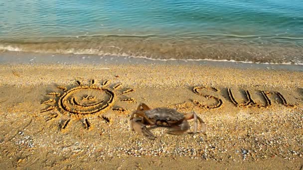Καβούρι Και Μια Επιγραφή Στην Άμμο Στην Παραλία Σχέδιο Του — Αρχείο Βίντεο