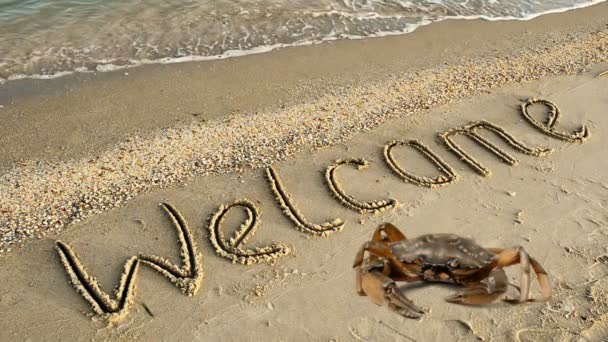 Granchio Iscrizione Sulla Sabbia Sulla Spiaggia Iscrizione Benvenuto Sulla Sabbia — Video Stock