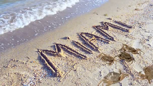 Krabben Und Eine Inschrift Auf Sand Der Strand Die Inschrift — Stockvideo