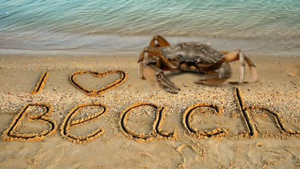 Krabben Und Eine Inschrift Auf Sand Der Strand Inschrift Love — Stockvideo