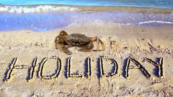 Krab Een Inscriptie Zand Het Strand Word Een Vakantie Zand — Stockvideo