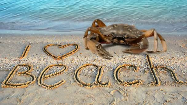 螃蟹和沙滩上的题词 我喜欢沙滩上的签名 — 图库视频影像