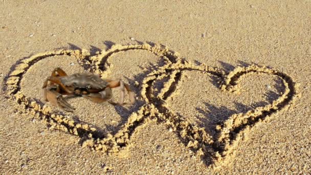 Granchio Disegno Sulla Sabbia Spiaggia Disegno Del Cuore Sulla Sabbia — Video Stock