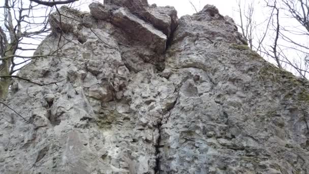 Disparando Rocas Primavera Bosque — Vídeos de Stock