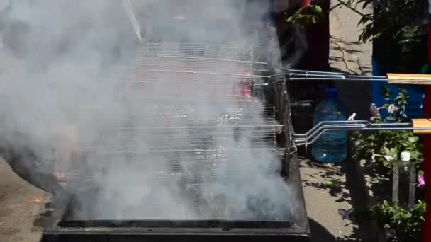 Processo Preparação Churrasco Braseiro Tecnologia Preparação Linguiças Braseiro — Vídeo de Stock