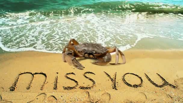 Crab Inscription Miss You Crab Beach — Stock Video