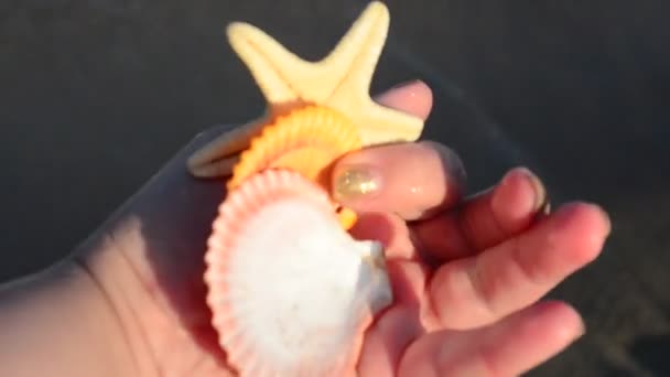 Zeekokkels Een Hand Strand Schieten Het Strand — Stockvideo