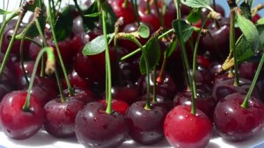 Cherry, çekim başladı. Meyve çekimleri.