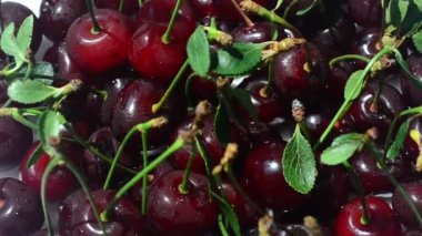 Cherry, çekim başladı. Meyve çekimleri.