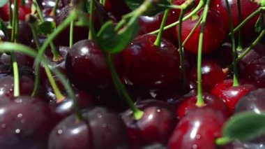 Cherry, çekim başladı. Meyve çekimleri.