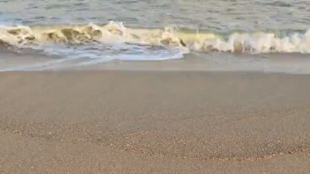 Sea Beach Time Lapse Filming Beach — Stock Video