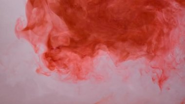 Soyut formlar. Beyaz bir arkaplanda çekim.