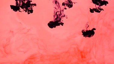 Soyut formlar. Beyaz bir arkaplanda çekim.