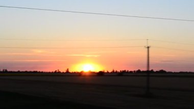 Trenden tarlanın manzarası. Harekette çekim..