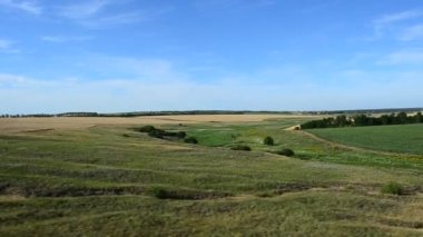 Trenden tarlanın manzarası. Harekette çekim..