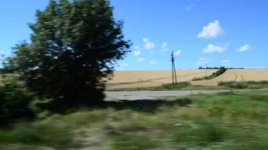 Trenden tarlanın manzarası. Harekette çekim..