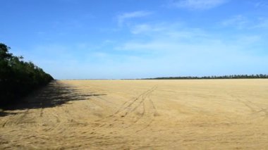 Trenden tarlanın manzarası. Harekette çekim..