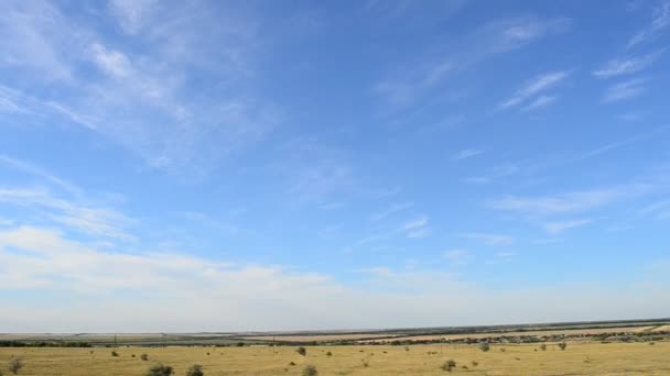 Blick Auf Das Feld Vom Zug Aus Schießen Der Bewegung — Stockvideo