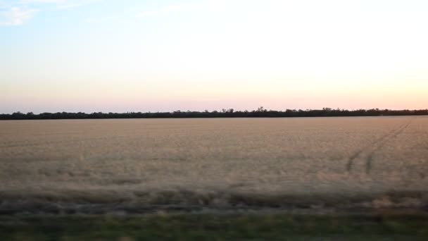 Vista Del Campo Dal Treno Sparatoria Nel Movimento — Video Stock