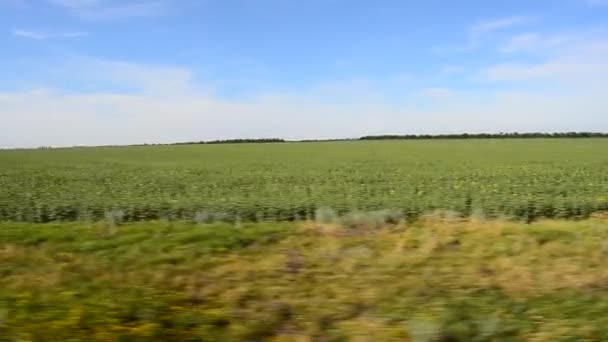 Vista Campo Partir Comboio Tiro Movimento — Vídeo de Stock