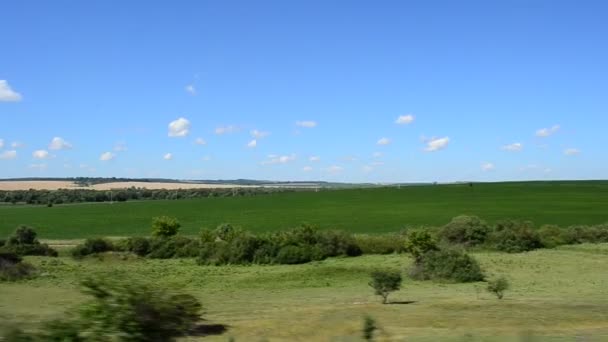 Vista Del Campo Desde Tren Disparos Movimiento — Vídeo de stock