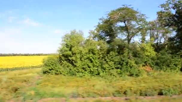从火车上俯瞰田野 运动中的射击 — 图库视频影像