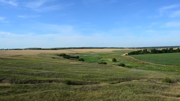 Vista Del Campo Desde Tren Disparos Movimiento — Vídeos de Stock