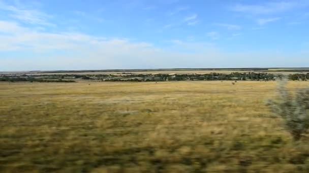 Vista Del Campo Desde Tren Disparos Movimiento — Vídeo de stock