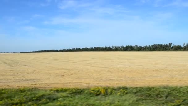 Vista Del Campo Desde Tren Disparos Movimiento — Vídeo de stock