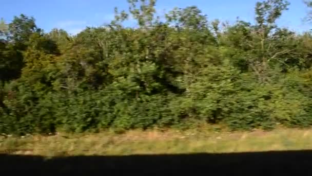 Vue Sur Terrain Depuis Train Tir Dans Mouvement — Video