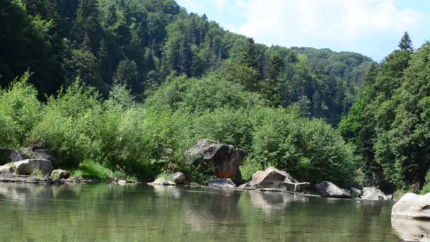 Ορεινό Ποτάμι Σκοποβολή Στα Βουνά — Αρχείο Βίντεο
