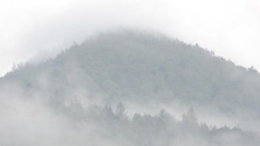 Yağmurdan sonra dağların üzerinden buhar çıkıyor. Dağların vuruşu.