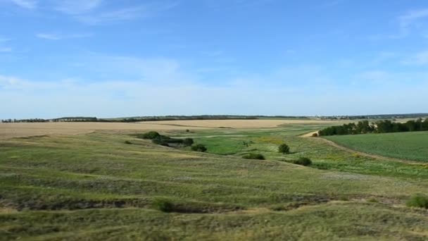 Vista Del Campo Desde Tren Disparos Movimiento — Vídeo de stock