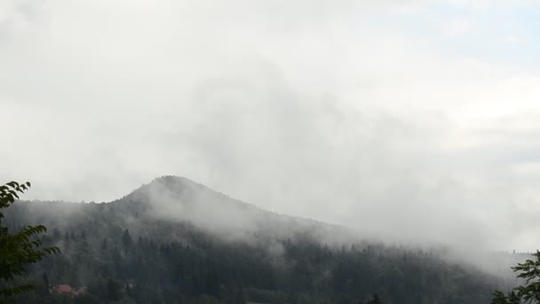 Vapor Sobre Montanhas Depois Uma Chuva Tiro Montanhas — Vídeo de Stock