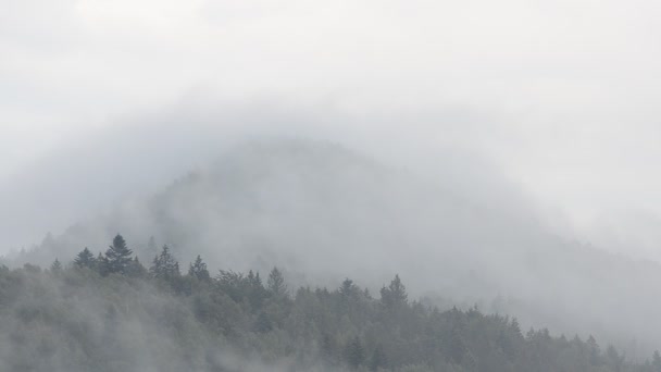 雨后在山上蒸腾 射击山区 — 图库视频影像