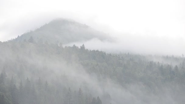 Steam Mountains Rain Shooting Mountains — Stock Video