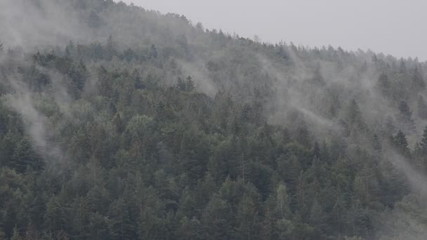 Gőzölj Hegyeken Eső Után Hegyi Lövöldözés — Stock videók