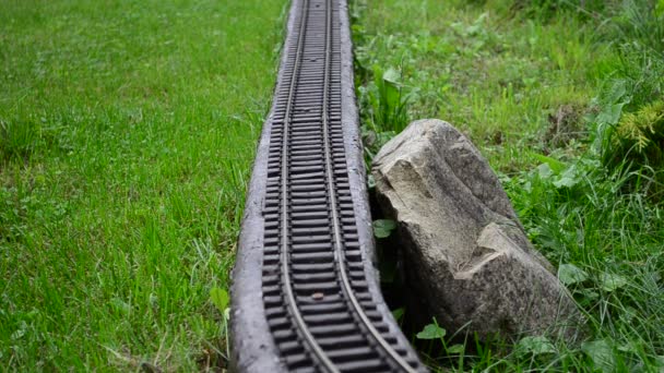 Modèle Ferroviaire Moteur Modèle Ferroviaire Moteur Parc Les Carpates Miniature — Video