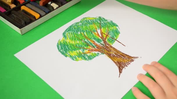 Die Kinderzeichnung Auf Papier Zeichnung Eines Baumes — Stockvideo