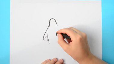 Penguen çiz. Çocuk resmi çizer..