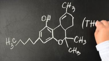 Tetrahydrocannabinol ve kimyasal formülünü çizdi. Tahtadaki THC molekülünün yapısal modeli.