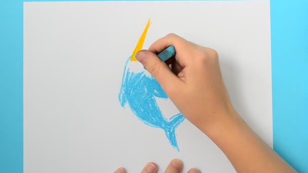 Draw Dolphin Monodon Monoceros Child Draws Picture — Stock Video