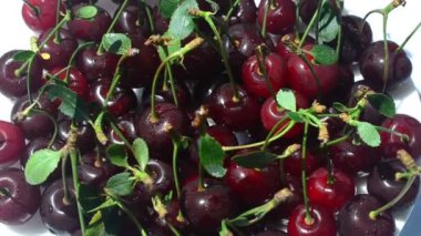 Cherry, çekim başladı. Meyve çekimleri.